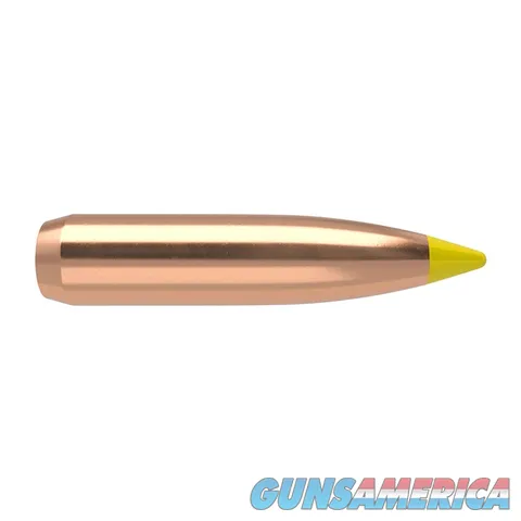 Nosler Ballistic Tip Hunting 27150