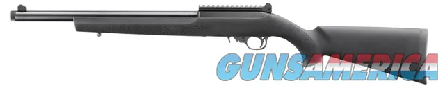 Ruger 10/22 Carbine, .22 Long Rifle, Hea...