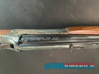 Savage 22 long 