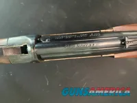 Savage 22 long 