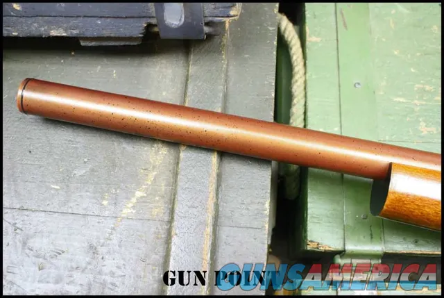 "The Copper Head" Custom Integrally Suppressed Ruger 10/22 Holosun 2 Mags