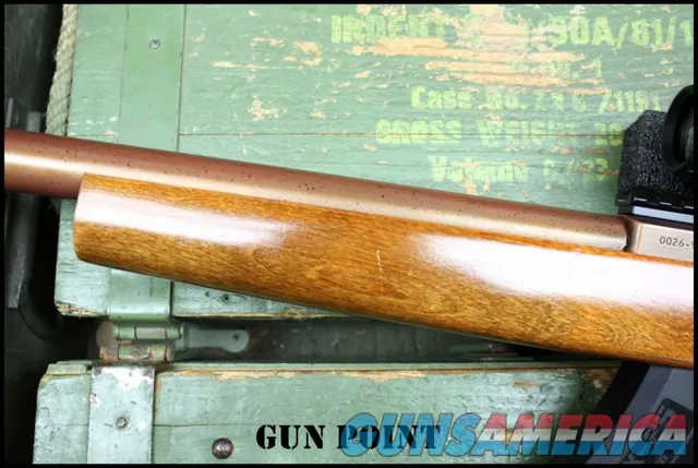 "The Copper Head" Custom Integrally Suppressed Ruger 10/22 Holosun 2 Mags