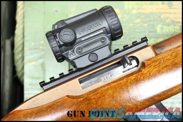 "The Copper Head" Custom Integrally Suppressed Ruger 10/22 Holosun 2 Mags