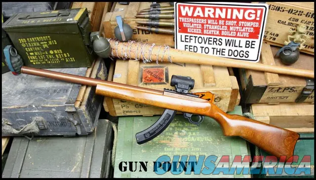 "The Copper Head" Custom Integrally Suppressed Ruger 10/22 Holosun 2 Mags