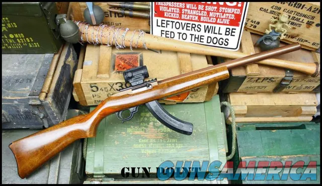 "The Copper Head" Custom Integrally Suppressed Ruger 10/22 Holosun 2 Mags
