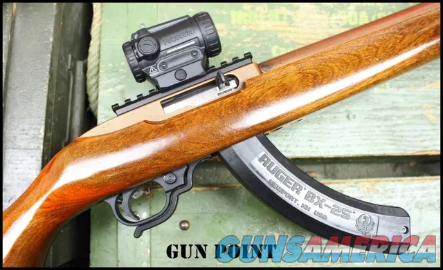 "The Copper Head" Custom Integrally Suppressed Ruger 10/22 Holosun 2 Mags