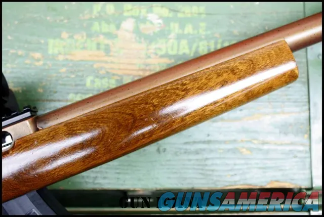 "The Copper Head" Custom Integrally Suppressed Ruger 10/22 Holosun 2 Mags