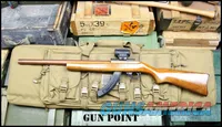 "The Copper Head" Custom Integrally Suppressed Ruger 10/22 Holosun 2 Mags