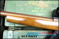 "The Copper Head" Custom Integrally Suppressed Ruger 10/22 Holosun 2 Mags