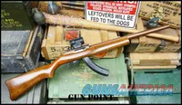 "The Copper Head" Custom Integrally Suppressed Ruger 10/22 Holosun 2 Mags