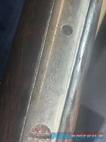 winchester model 1886