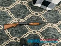 Classic Wood-Stock Pump Shotgun, 12 Gauge