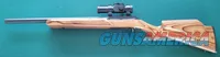USED Thompson Center .22 Benchmark rifle w/Bushnell Red Dot scope