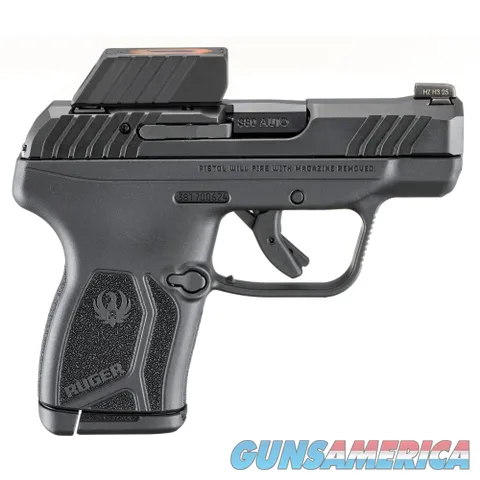 Ruger LCP Max (13758)