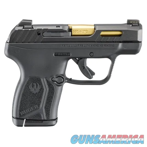 Ruger LCP Max (13766)