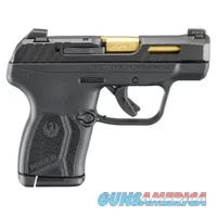 Ruger LCP Max (13766)