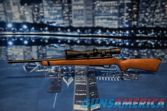 Ruger 10/22 Carbine .22 LR with Viridian...