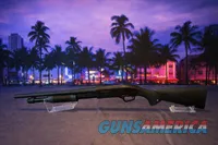 12 Gauge