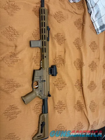 FDE AR-15 Rifle w/ Vortex Red Dot & Streamlight