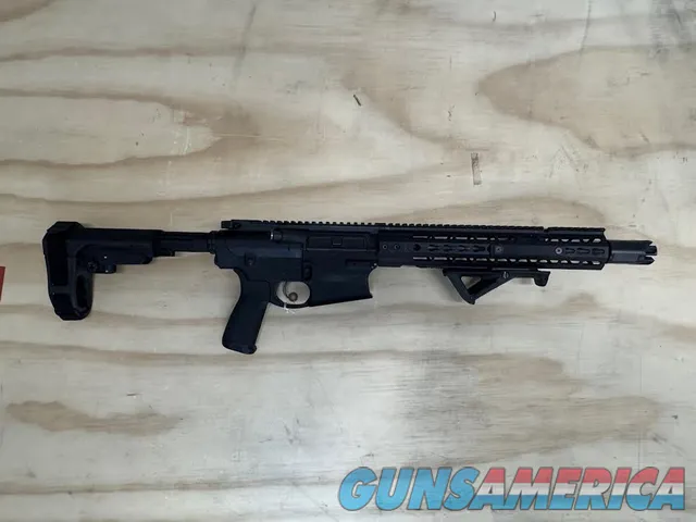 Primary Weapons Sytsems Mk2 Pistol