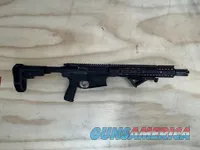 Primary Weapons Sytsems Mk2 Pistol
