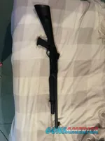 Benelli